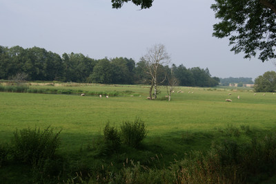 Engen
