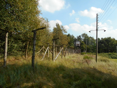 Pigtrådshegn
