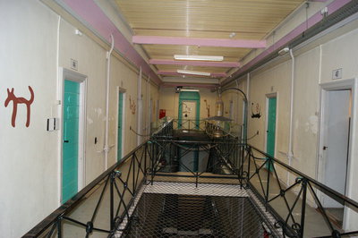 Cellegang